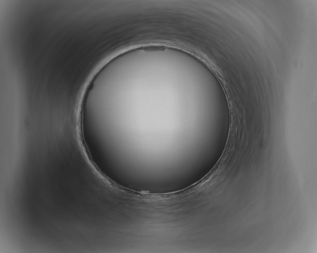X0000102861536200808181015