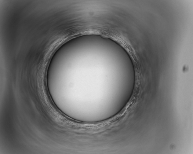 X0000102860001200808181453