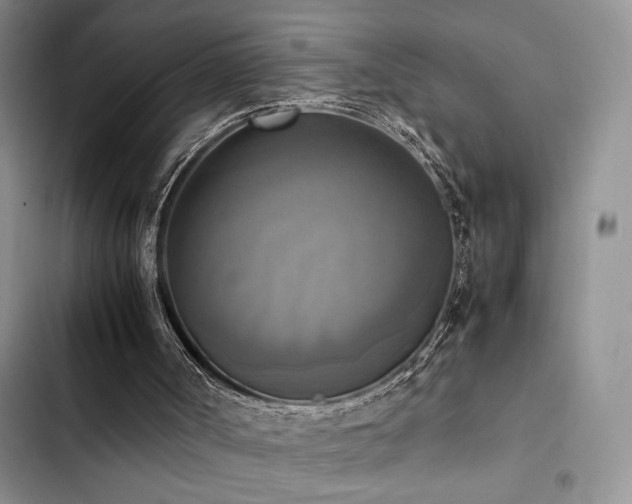 X0000102860002200808181453