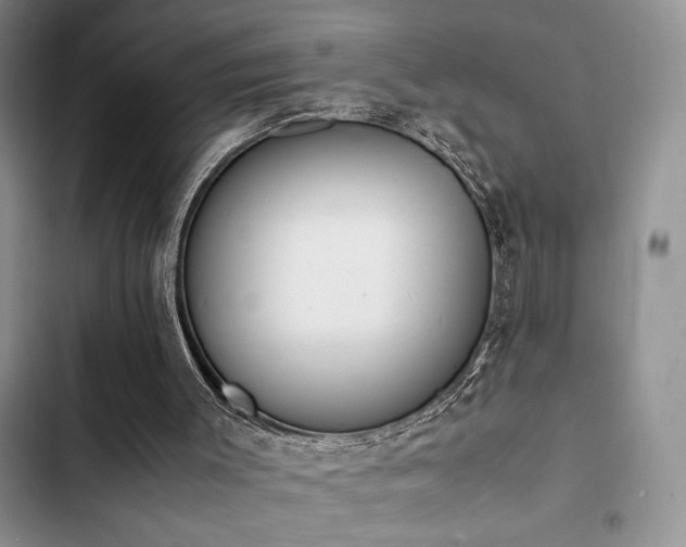 X0000102860003200808181453