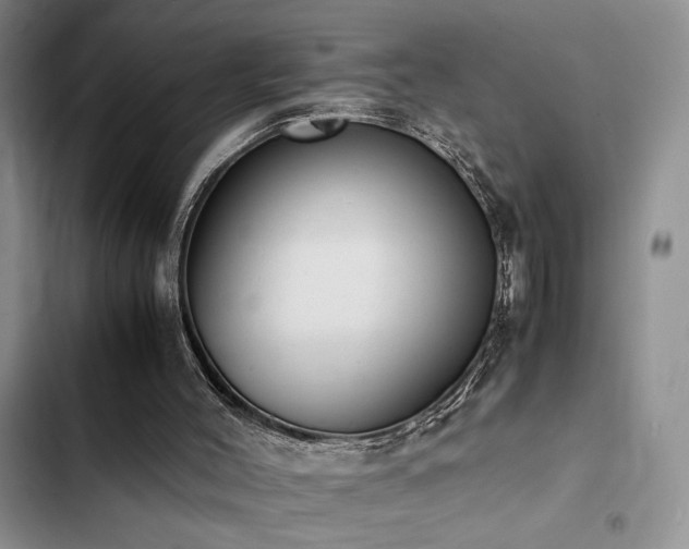 X0000102860004200808181453