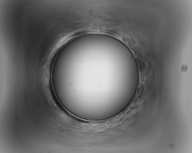 X0000102860005200808181453