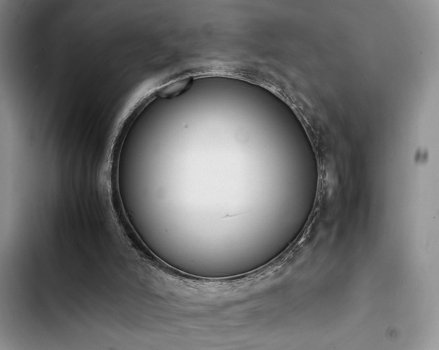 X0000102860006200808181453