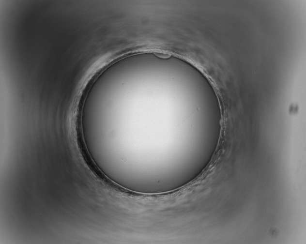 X0000102860007200808181453