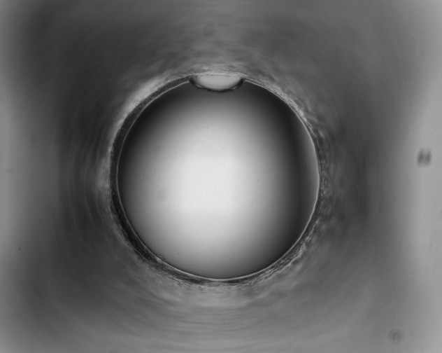 X0000102860008200808181453