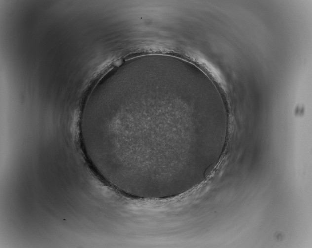 X0000102860009200808181453