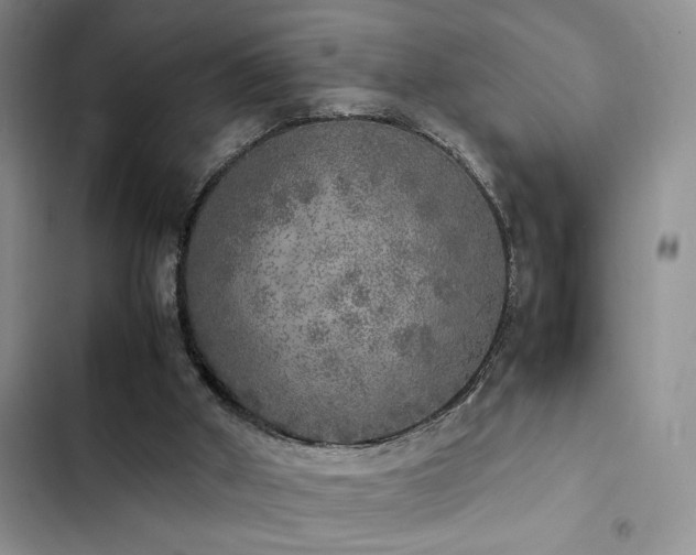 X0000102860010200808181453