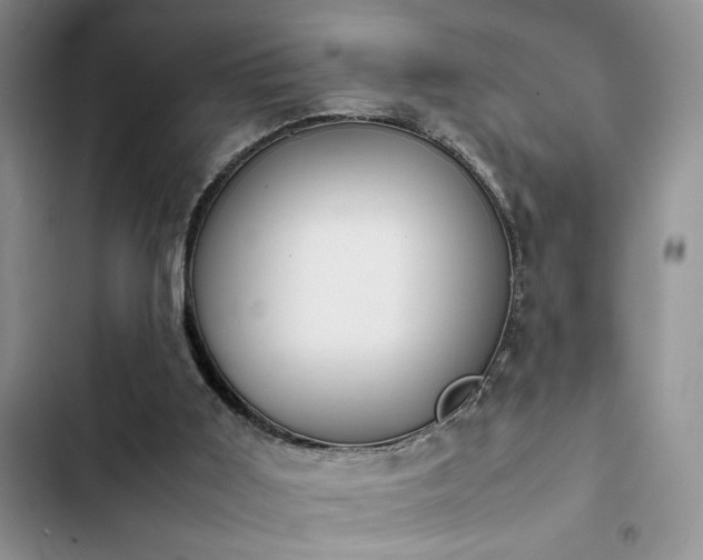 X0000102860011200808181453