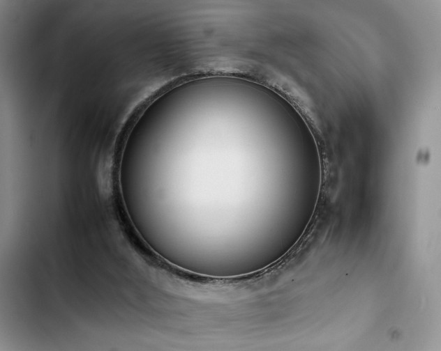 X0000102860012200808181453