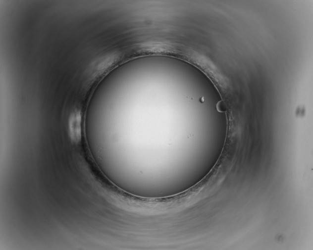 X0000102860014200808181453