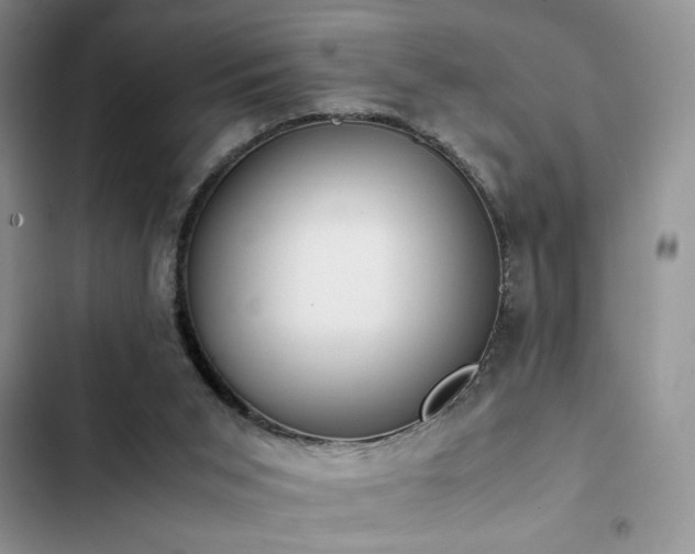 X0000102860015200808181453