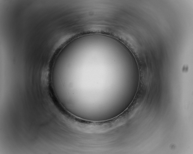 X0000102860016200808181453