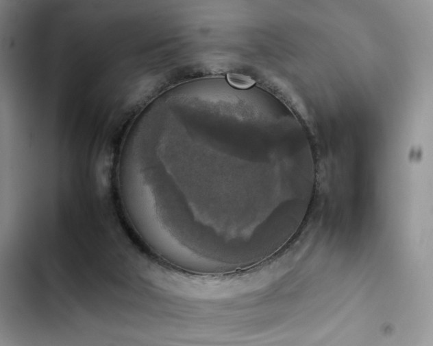 X0000102860018200808181453