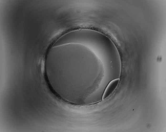 X0000102860019200808181453