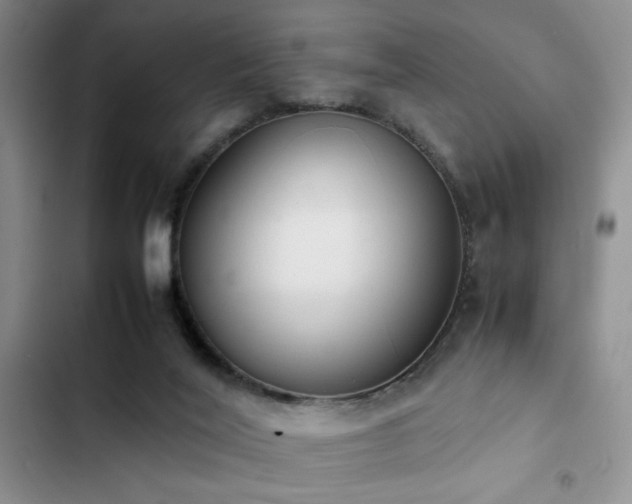 X0000102860020200808181453