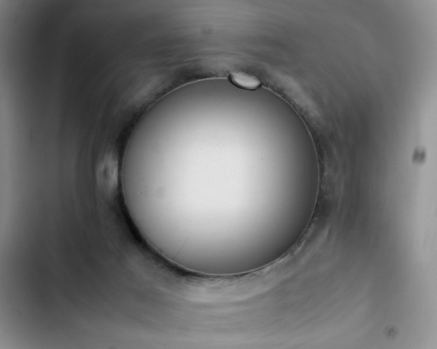 X0000102860021200808181453