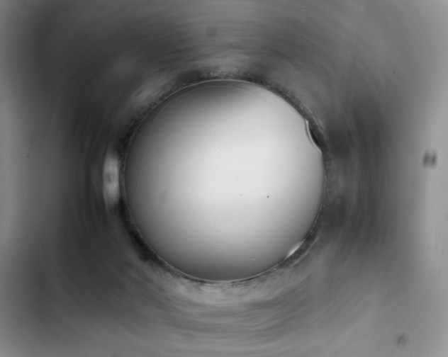 X0000102860022200808181453