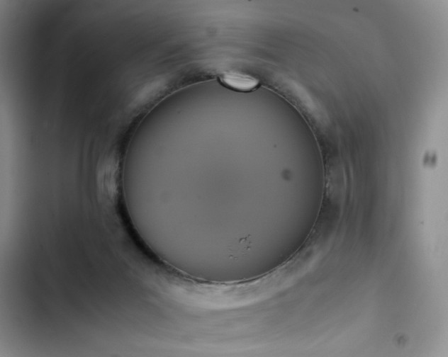 X0000102860023200808181453