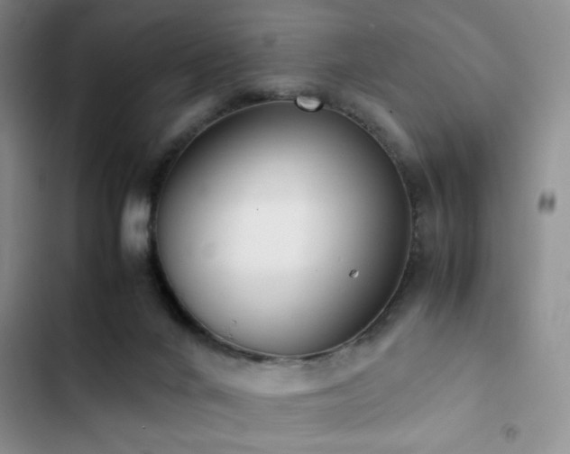 X0000102860024200808181453