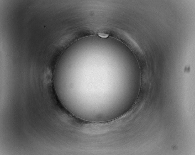 X0000102860025200808181453