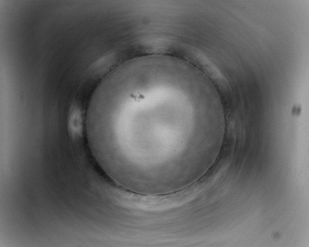 X0000102860026200808181453