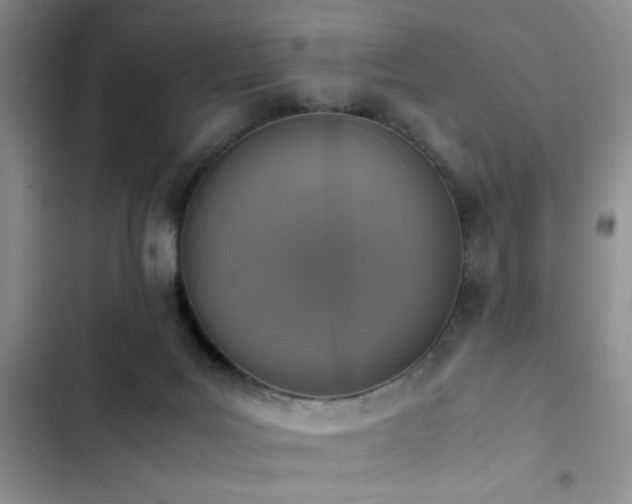 X0000102860027200808181453