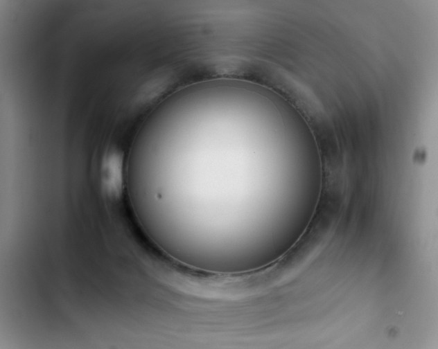 X0000102860028200808181453