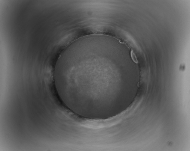 X0000102860029200808181453