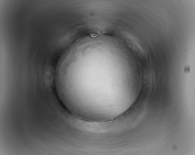 X0000102860030200808181453