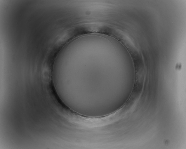 X0000102860031200808181452