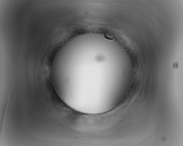 X0000102860033200808181452