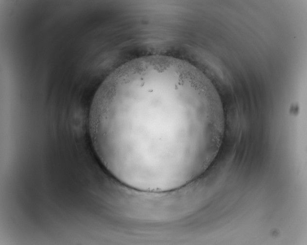 X0000102860034200808181452