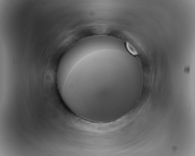 X0000102860035200808181452