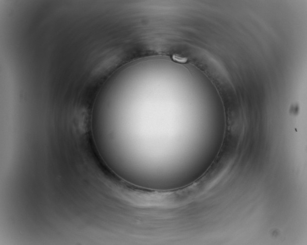 X0000102860036200808181452