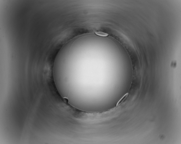 X0000102860037200808181452