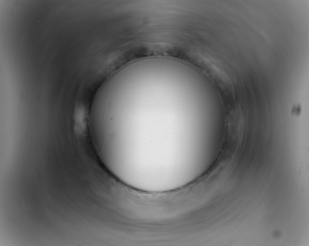 X0000102860038200808181452