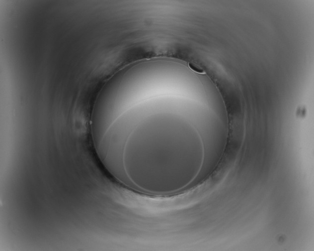 X0000102860039200808181452