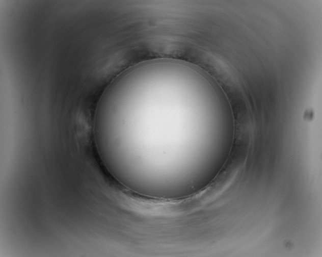 X0000102860040200808181452