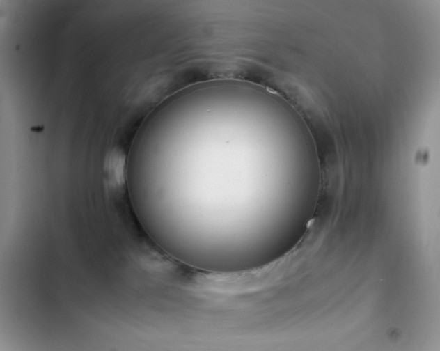 X0000102860041200808181452