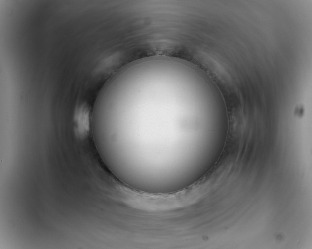 X0000102860042200808181452