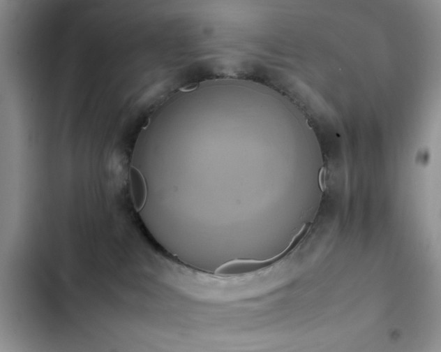 X0000102860043200808181452