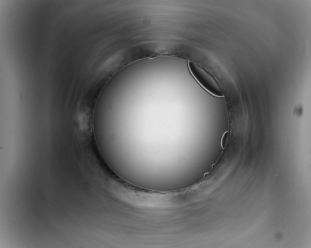 X0000102860044200808181452