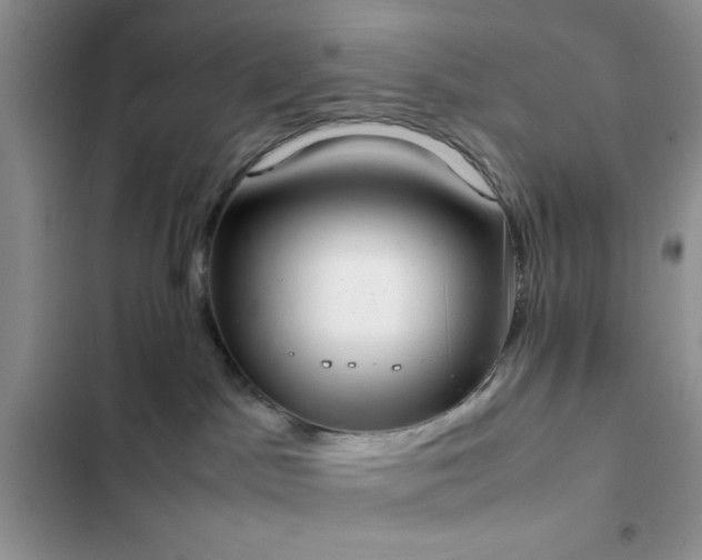 X0000102860045200808181452