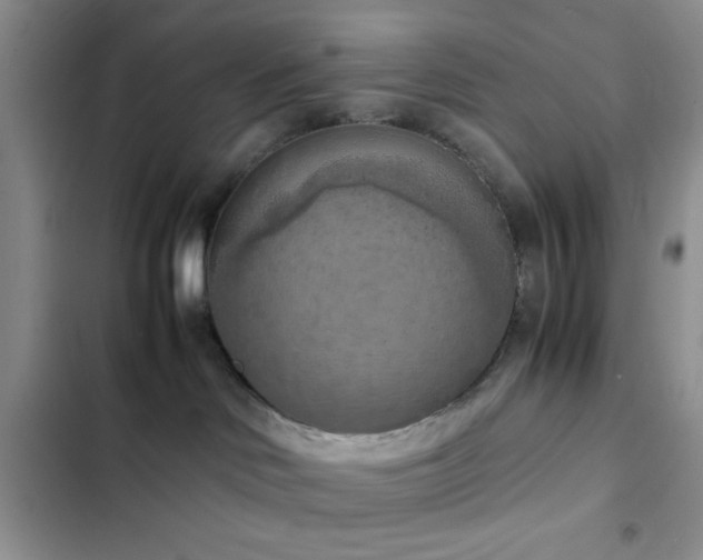 X0000102860046200808181452