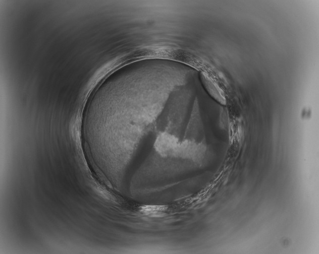 X0000102860051200808181451