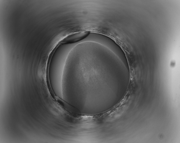 X0000102860052200808181451