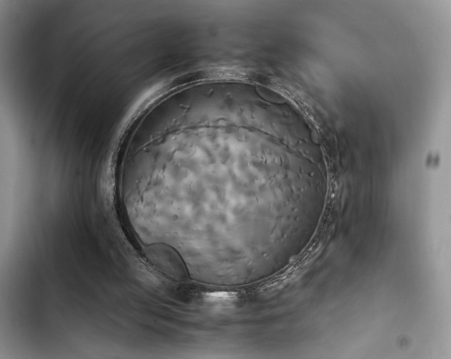 X0000102860053200808181451