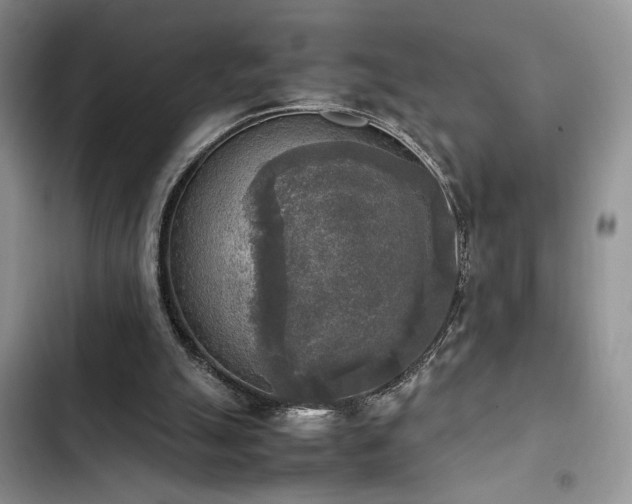 X0000102860055200808181452