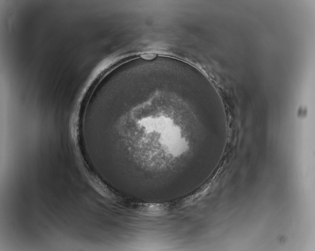 X0000102860056200808181452