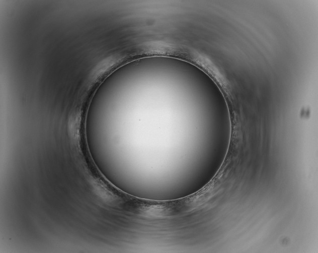 X0000102860058200808181452